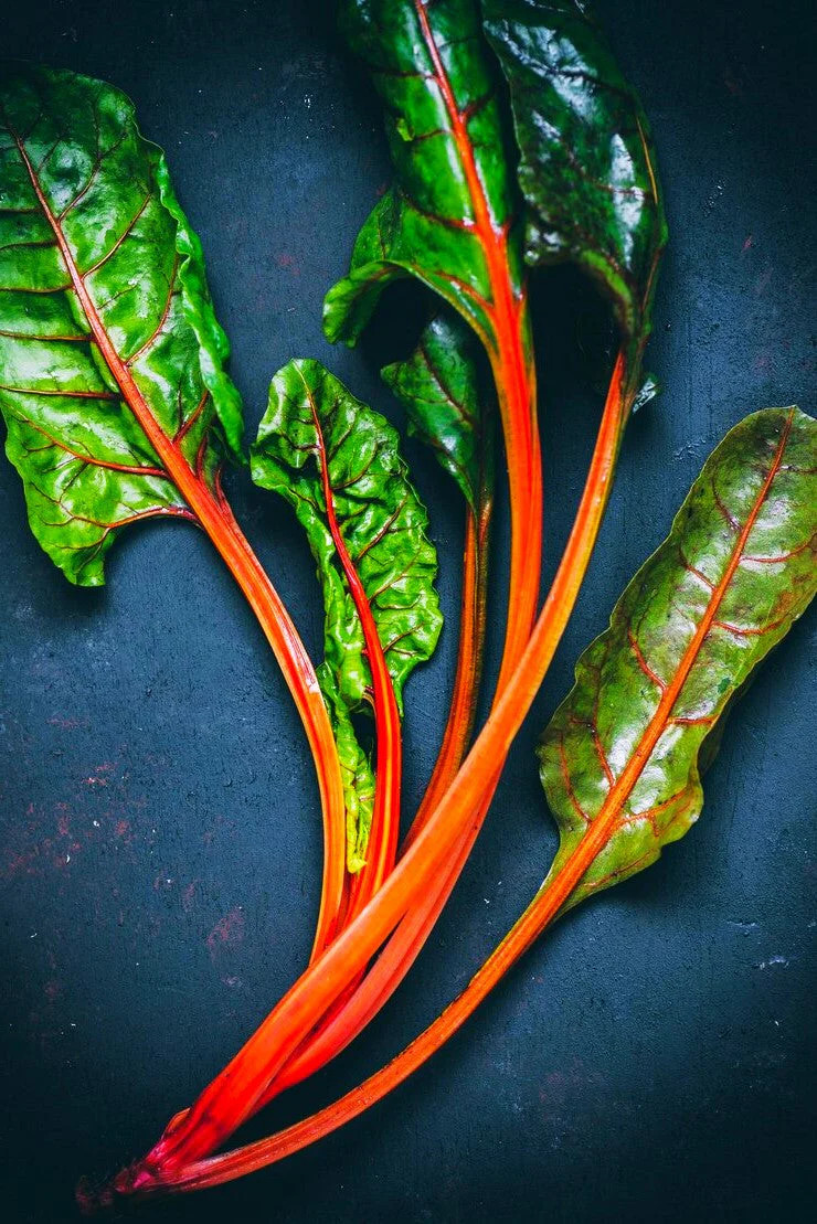 Orange Glory Swiss Chard Seeds – For 2025 Planting Bright Lights Golden Yellow