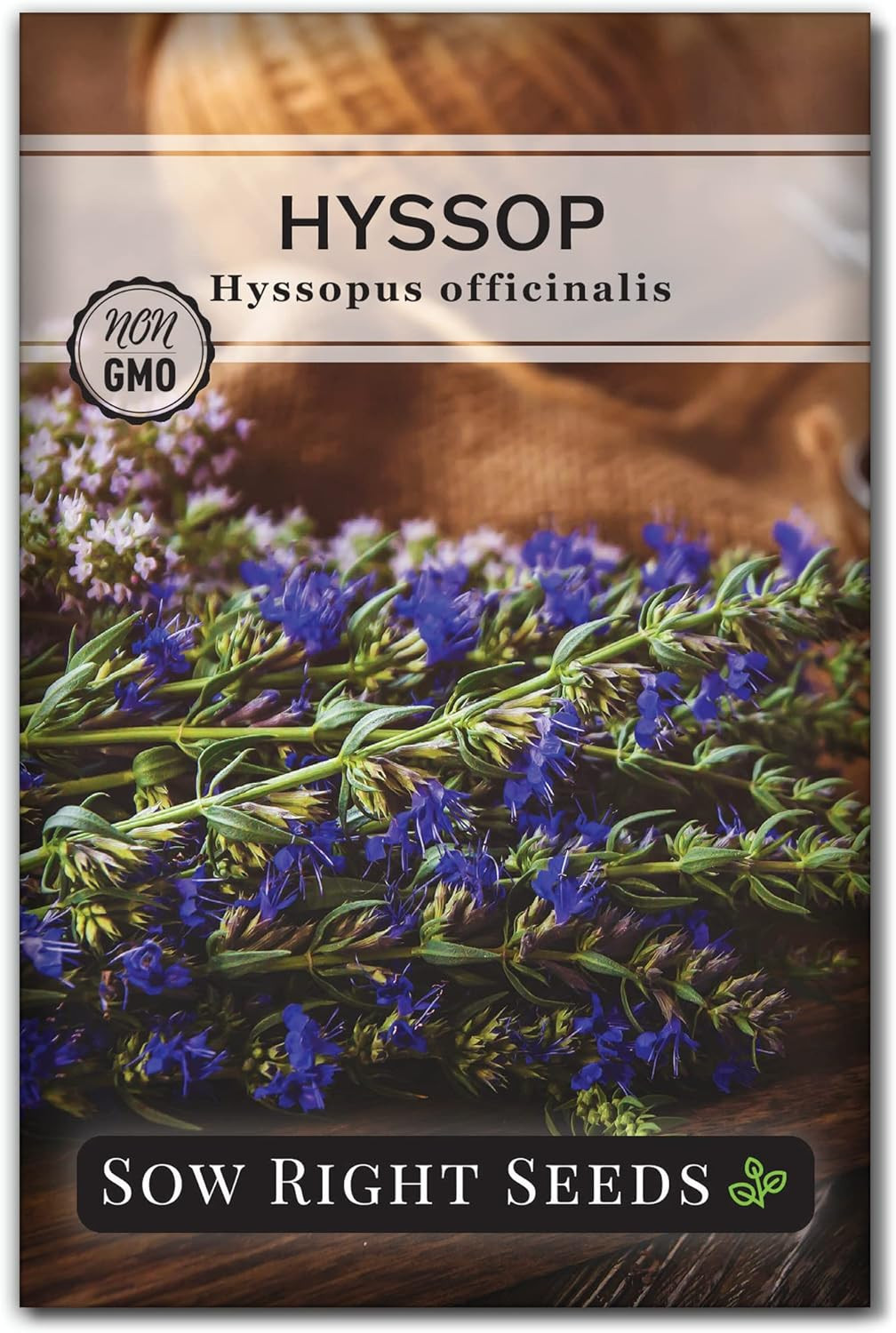 Sow Right Seeds – Hyssop Seed for Planting – Medicinal Herb to Plant in Your Gar