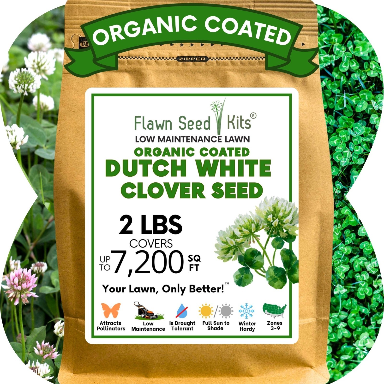 Dutch White Clover Seed, Organic Coated, Eco-Friendly, Low Maintenance