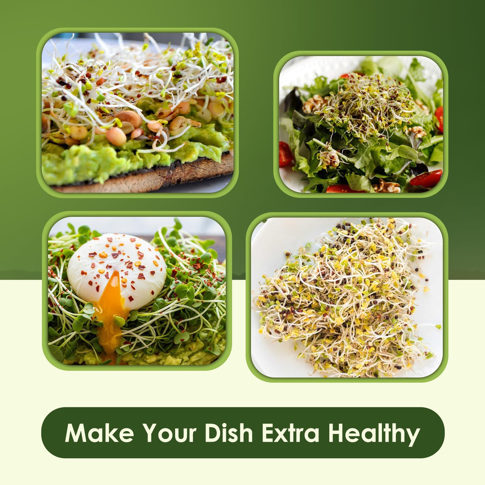 Organic Microgreen Seed Mix – 1lb Non-GMO Broccoli Alfalfa Radish