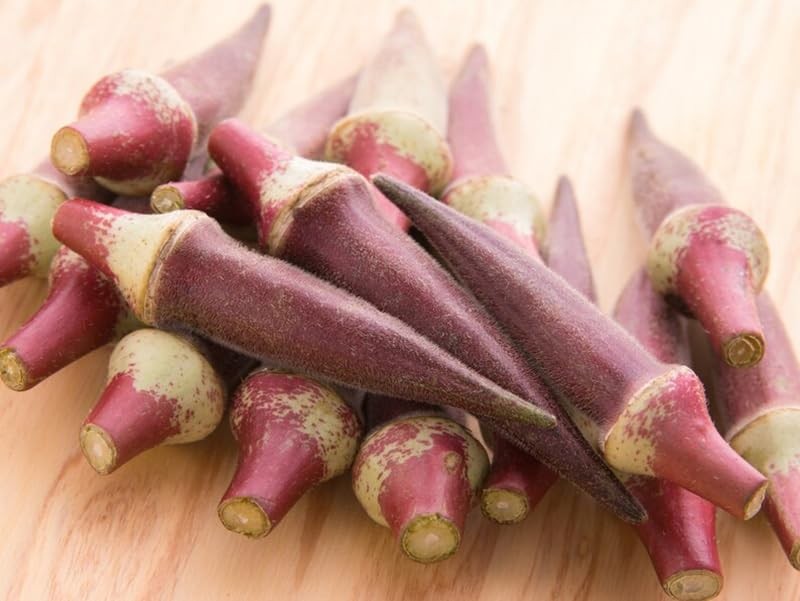 30+ Red Burgundy Okra Seeds Abelmoschus esculentus Seed Vegetables red