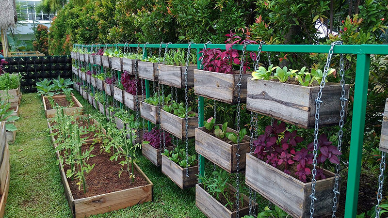 (Small Garden) Survival Garden Emergency Food Seeds 20 kinds Heirloom USA Seeds