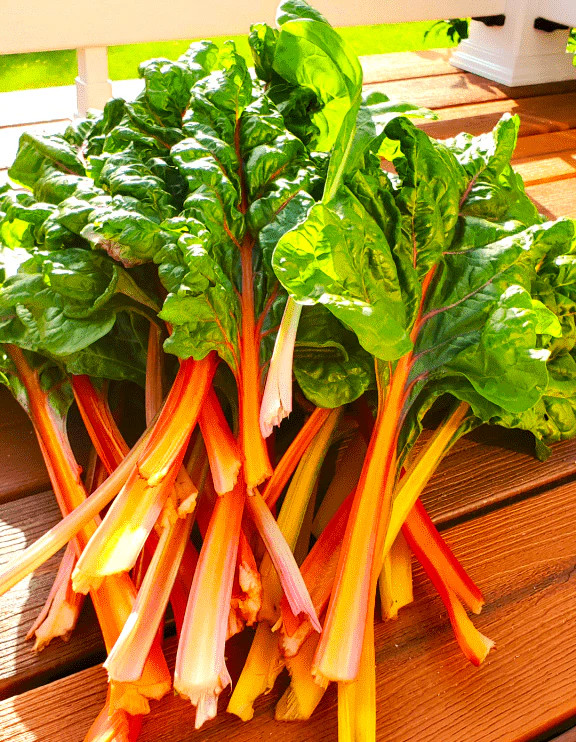 Orange Glory Swiss Chard Seeds – For 2025 Planting Bright Lights Golden Yellow