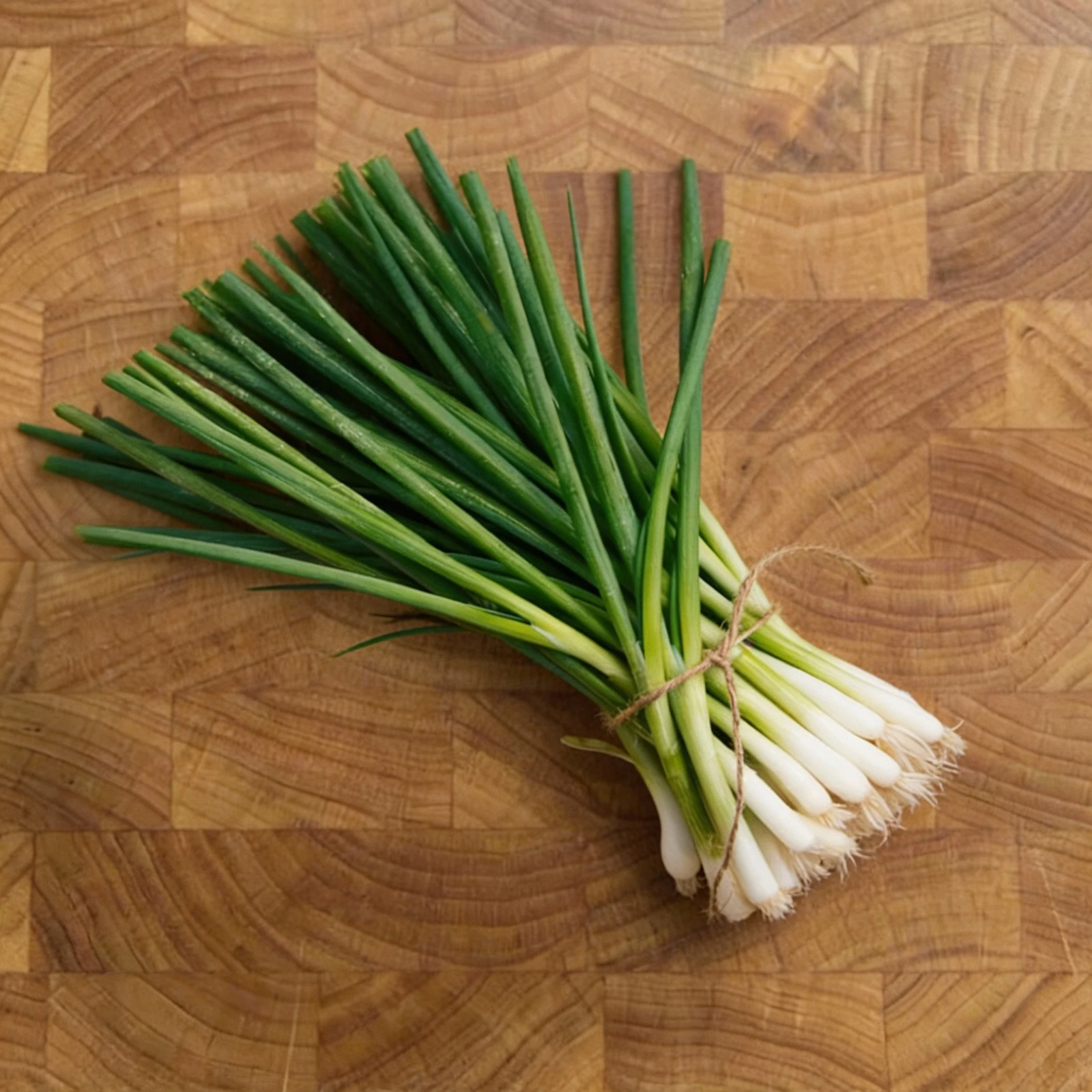 Onion Seeds – Bunching – Evergreen White Nebuka – Organic Seeds – Non GMO