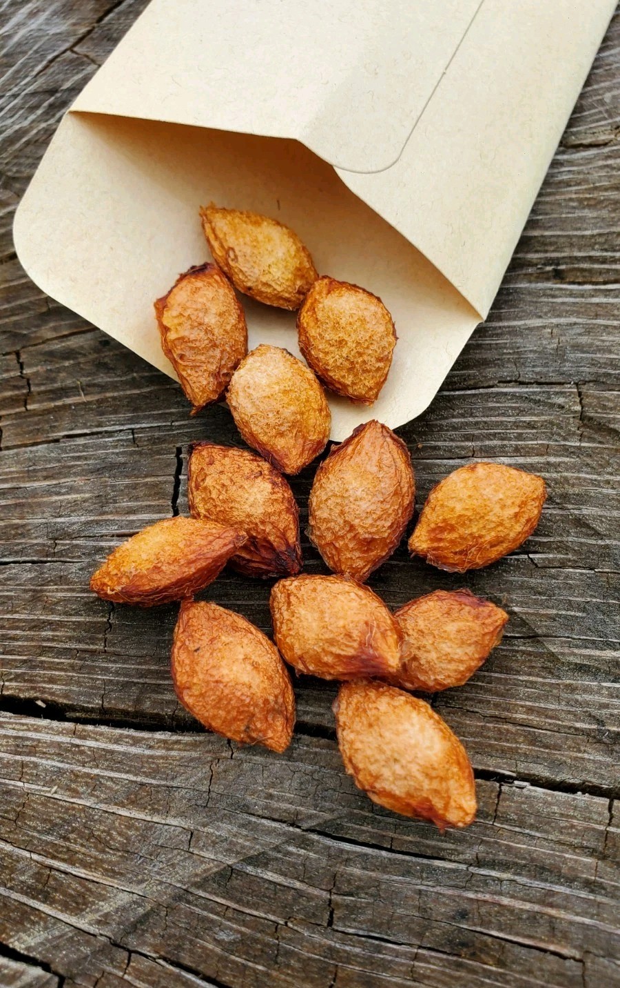 10+ Chickasaw Plum Seeds – Fresh 2026 Harvest | Beyond Organic