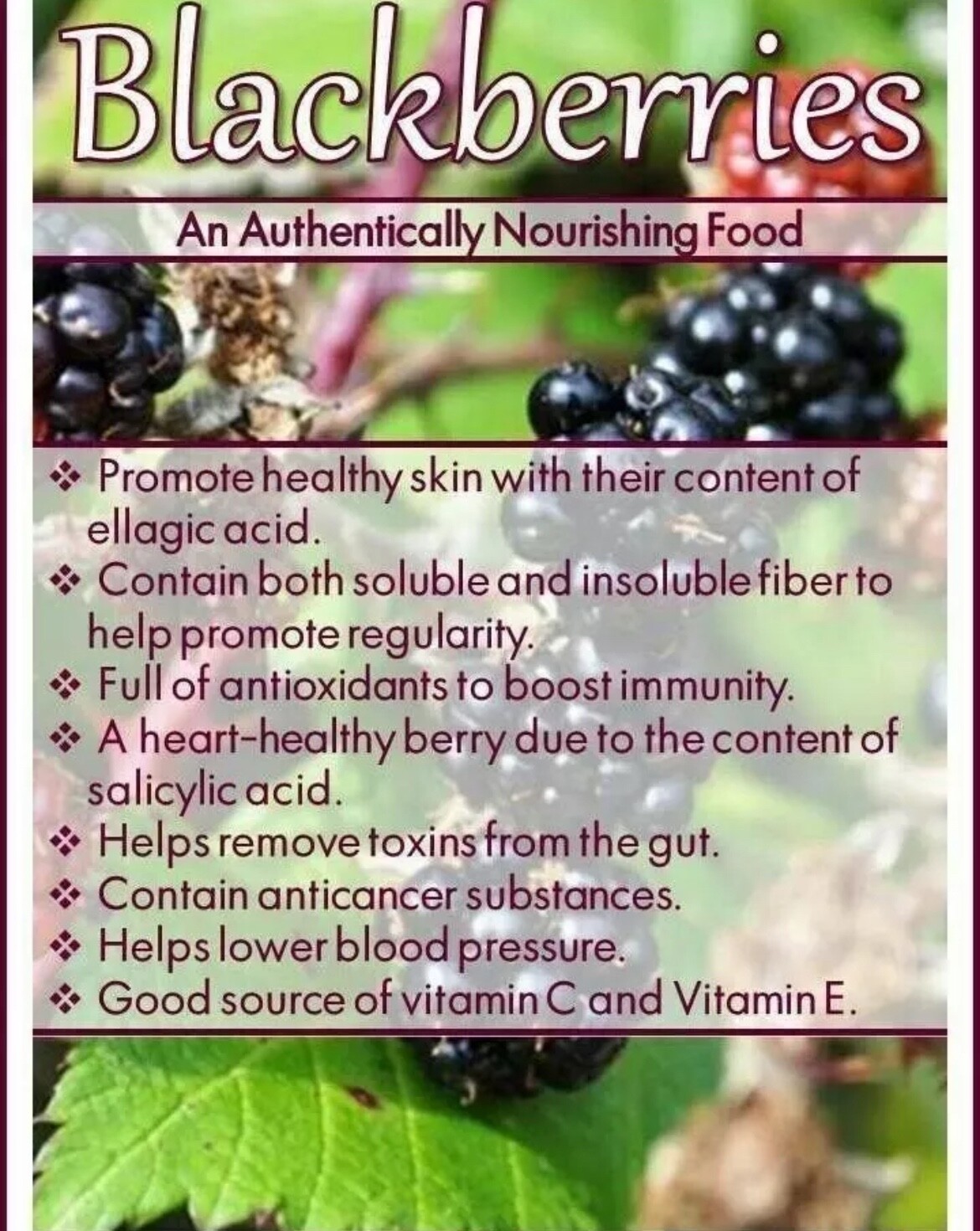 Blackberry Seeds Homegrown Edible Garden Berry Bush Organic Fruit NonGMO TX USA