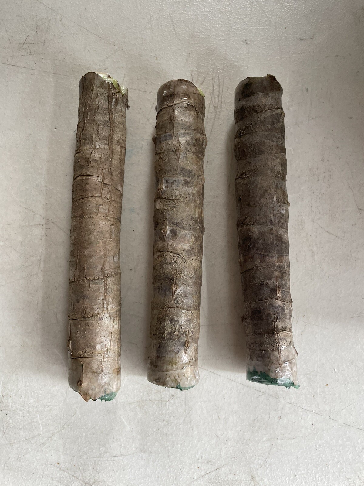 Hawaiian Green Ti Leaf Fresh Cuttings 6″ Starter 3 Logs