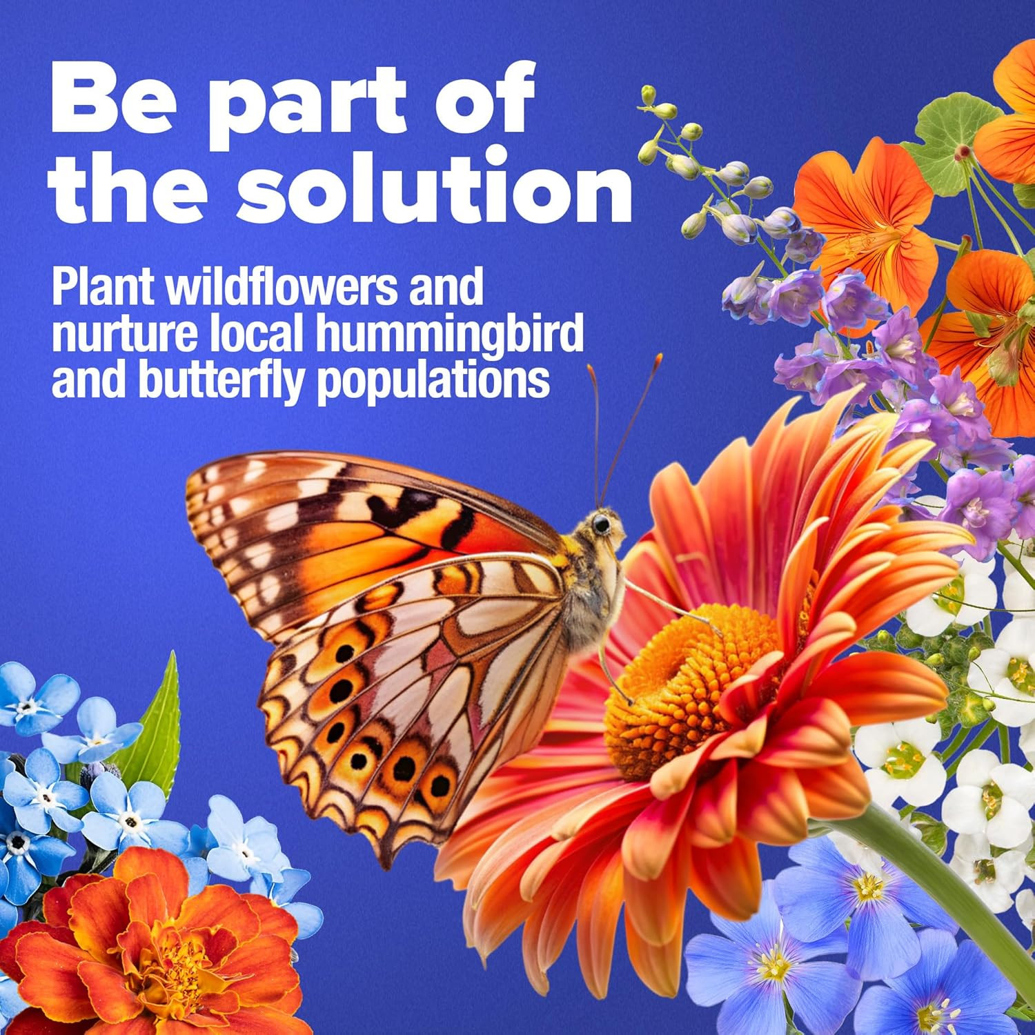 HOME GROWN Wildflower Seeds – 130,000+ Pure, No Filler, Birds & Butterflies Wild