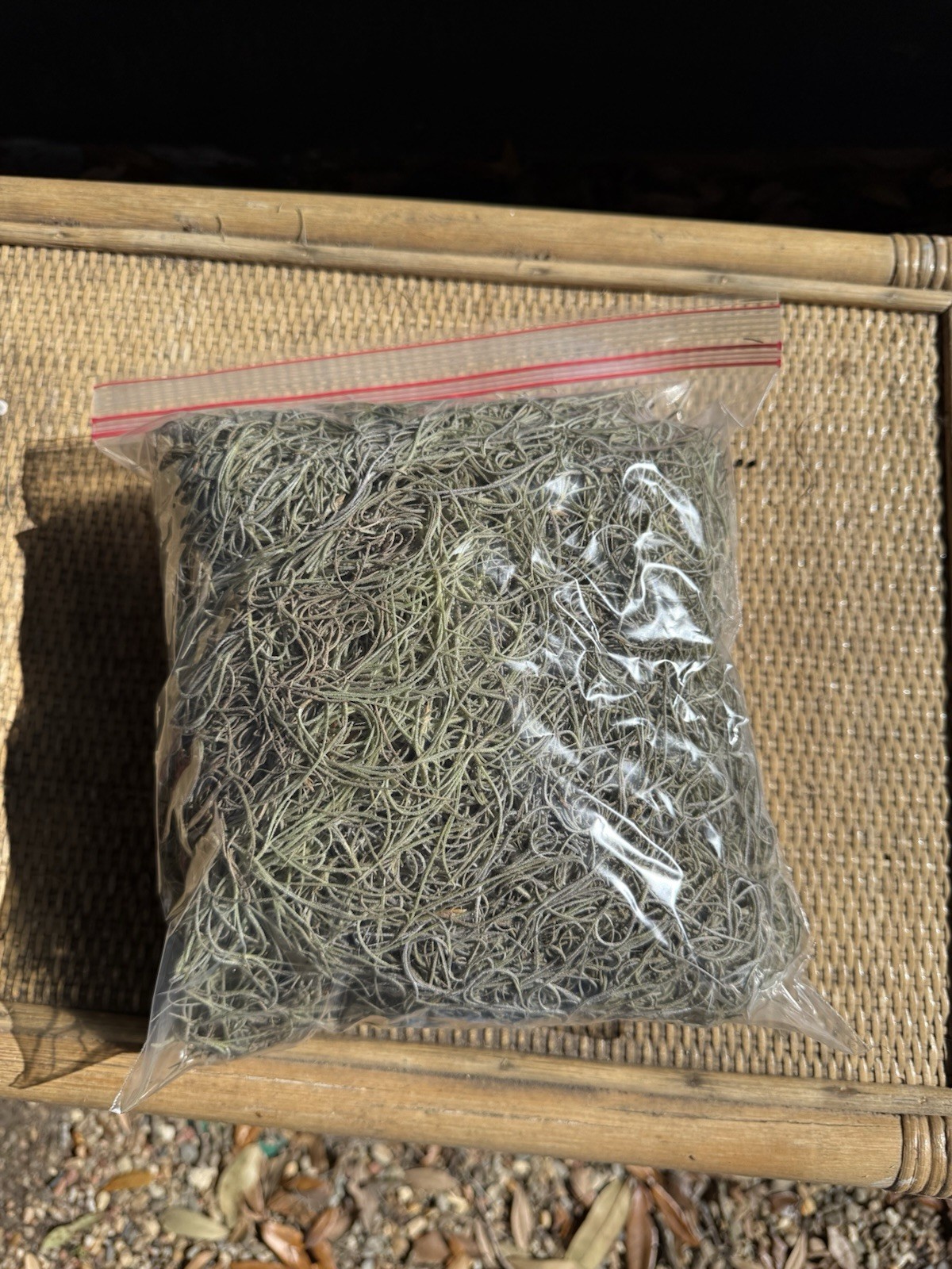Spanish Moss From Coast South Carolina Hilton head island Beaufort sac