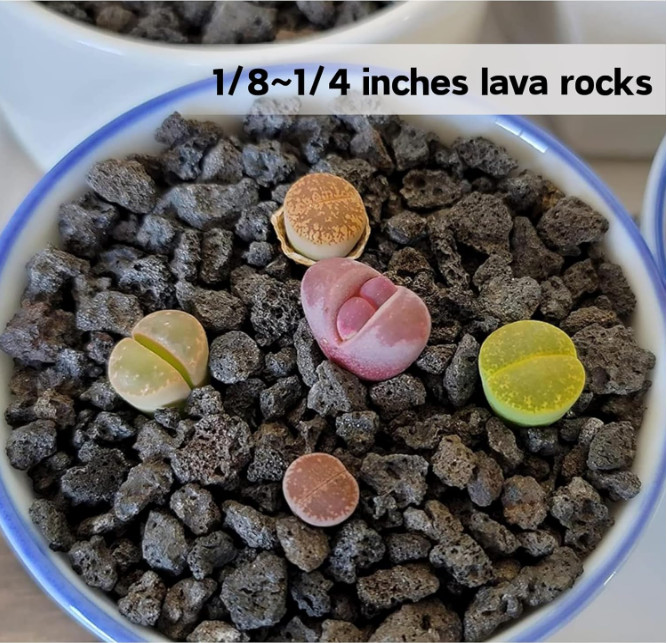 18lb Black Lava Rock for Plant, 1/8-1/4 inch Horticultural Volcanic Rock Soil…