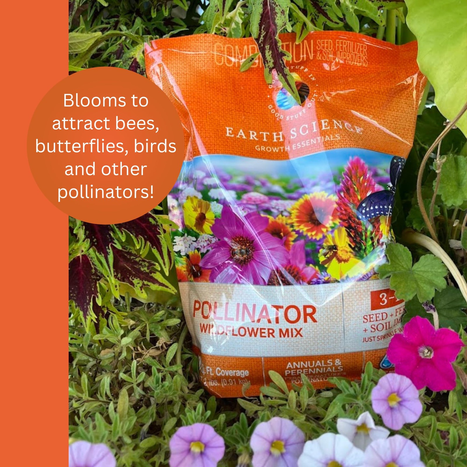 Earth Science Wildflower Pollinator Mix— 6 lb—3-in-1 Mix with Premium Wildflower