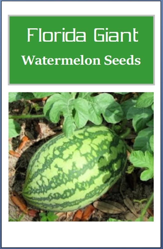 Florida Giant Watermelon Seeds | NON-GMO | Heirloom | Fresh Garden Seeds