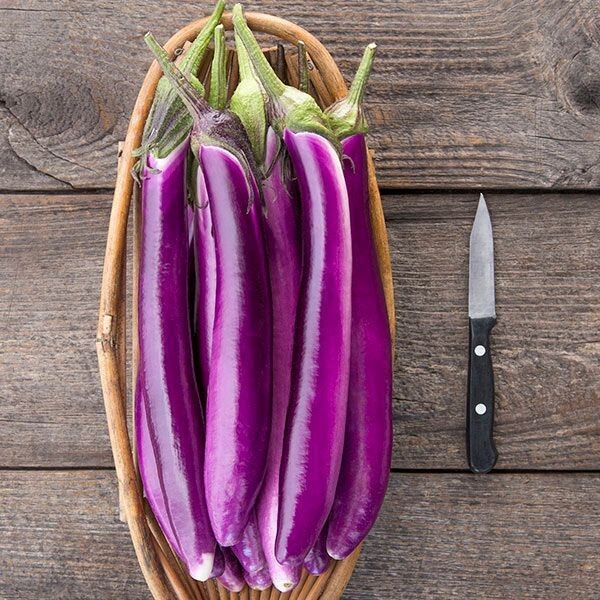 150 LONG PURPLE EGGPLANT SEEDS ~ 2026 ~ heirloomseedguy ~ USA