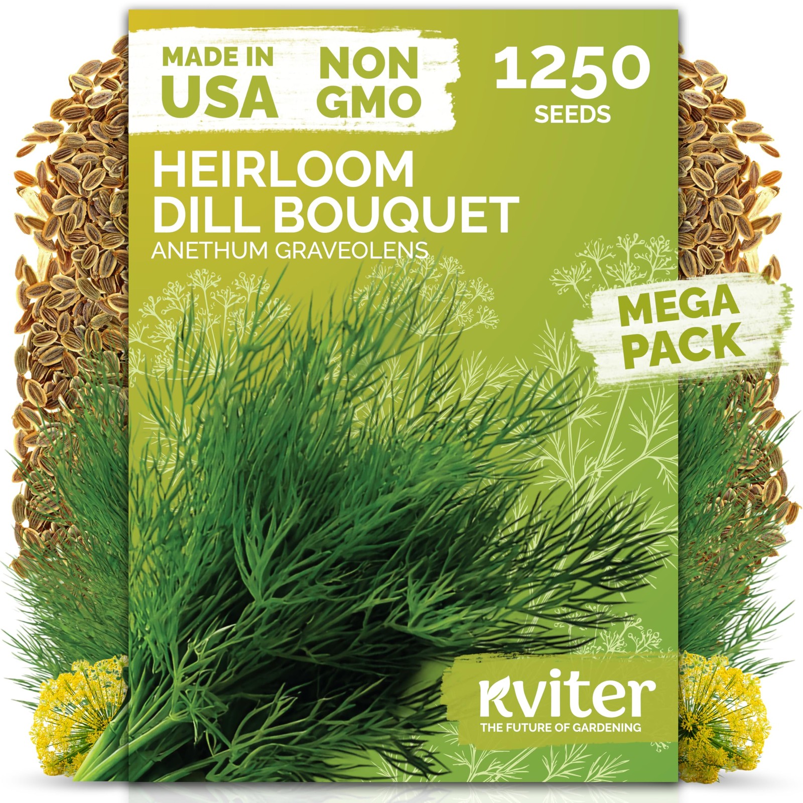 1250 Dill Seeds for Planting Anethum graveolens Bouquet Dill, Early Flowerin…