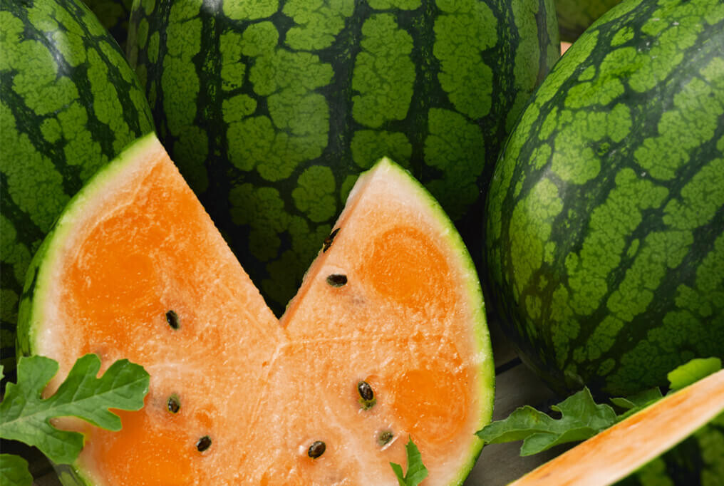 15 TENDERSWEET ORANGE WATERMELON FRESH FOR GARDENS
