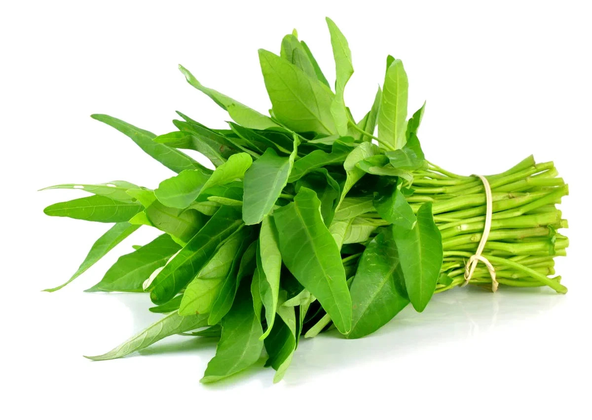 Kolmi Shak Seeds- 10 Grams , Water Spinach seeds, Indian Water Spinach কলমি শাক