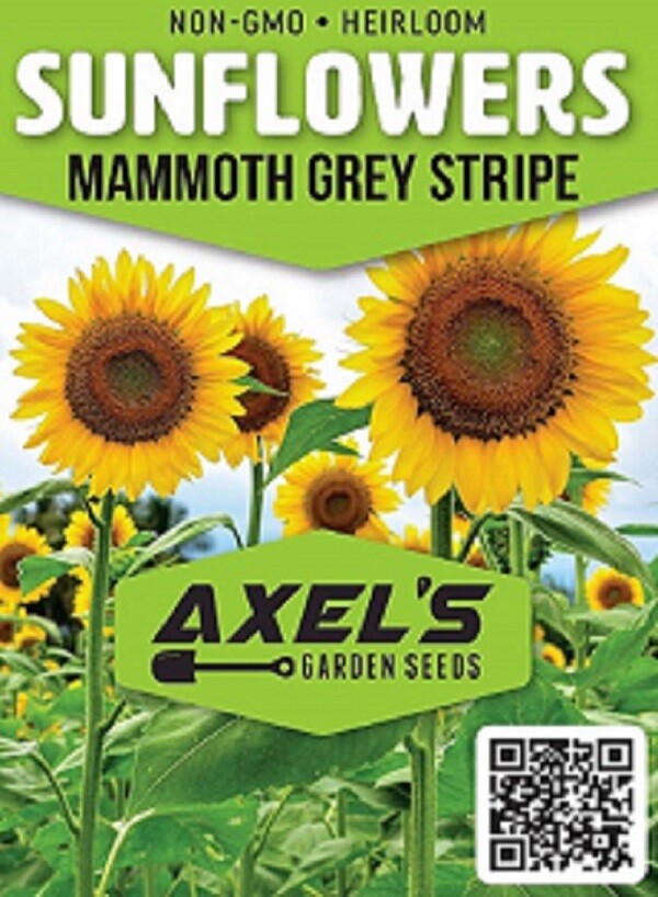 Bulk Sunflower Seeds Mix – Heirloom Non-Gmo Flower Seeds for Home Garden