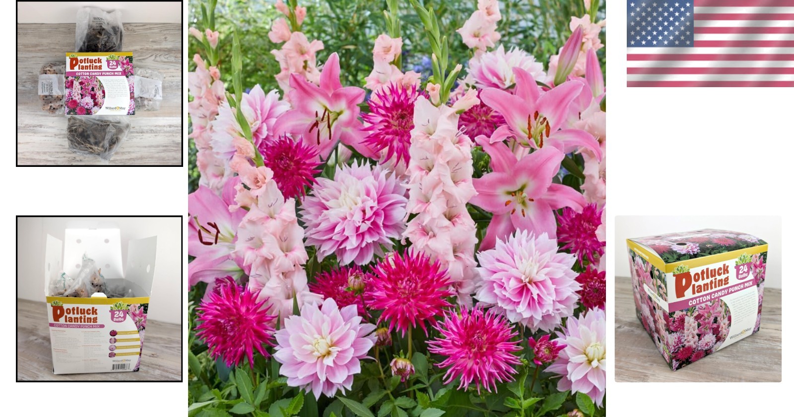 All-in-One Flower Bulb Garden Kit – Cotton Candy Punch Mix