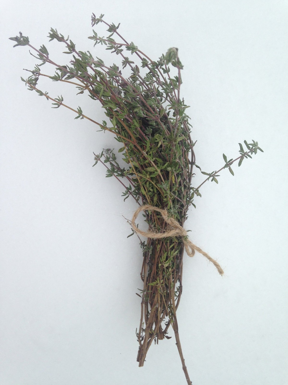 German Winter Thyme Seeds, 700 seeds Heirloom, Free Shipping