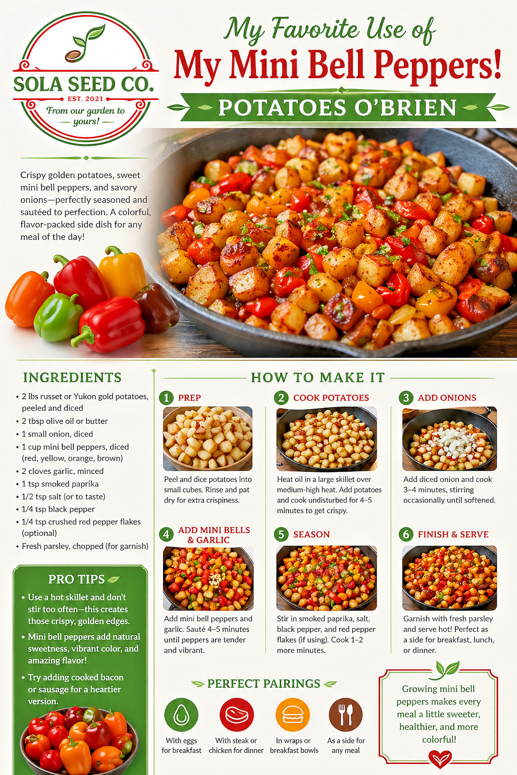 50 Sweet Mini Bell Pepper Seeds, Red, Yellow, and Brown- NON-GMO, USA