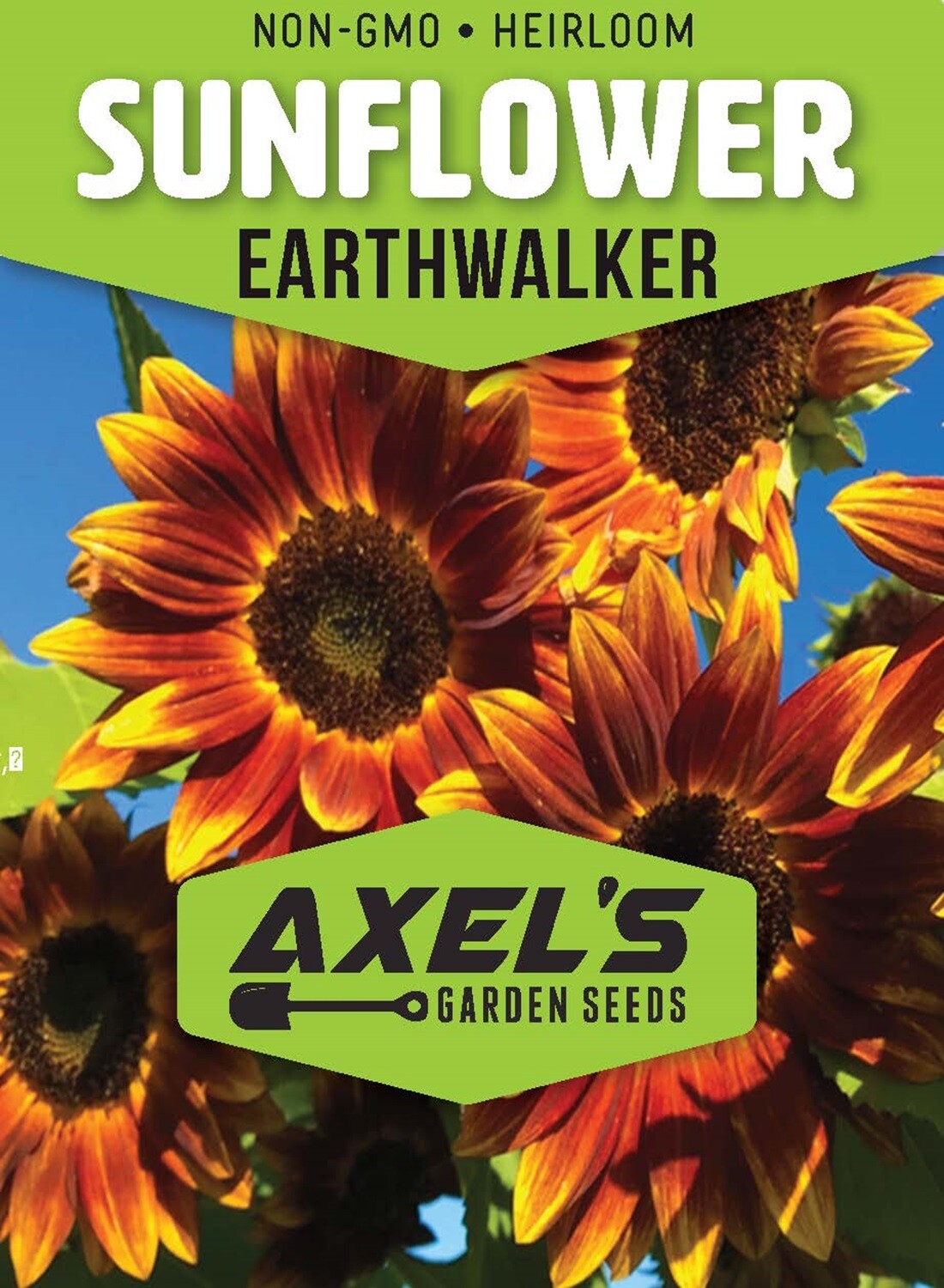 Earthwalker Sunflower Seeds – Heirloom Non GMO Open-Pollinator Flower Seeds