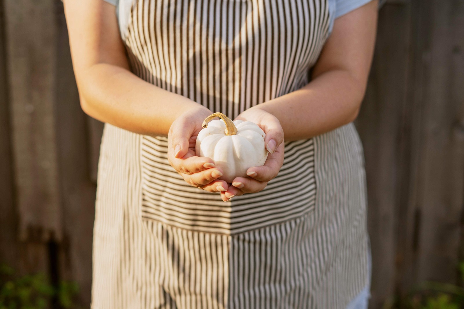 15 WHITE BABY BOO MINI PUMPKIN Miniature Cucurbita Pepo Vegetable Seeds Flat S/H