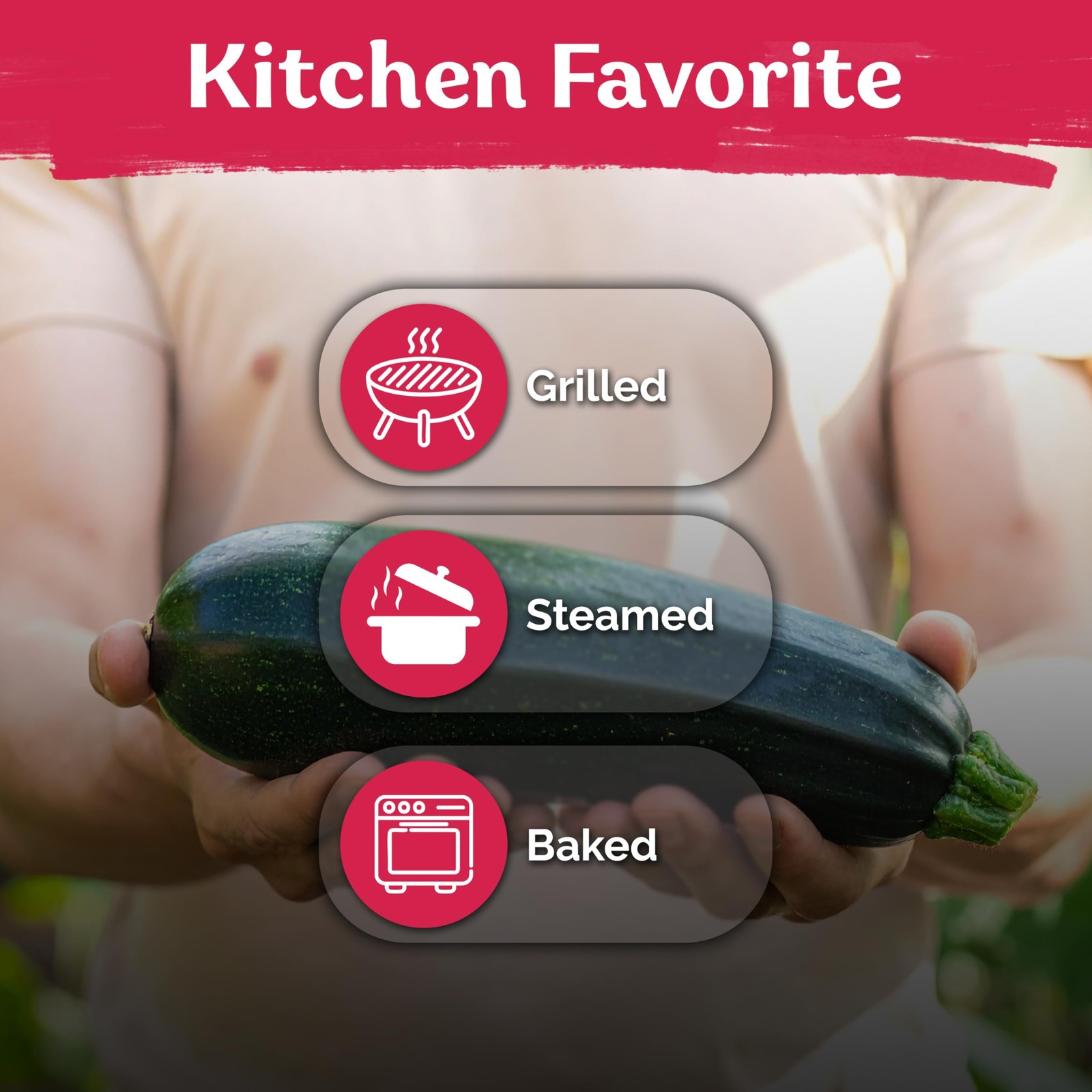 KVITER 50 Black Beauty Zucchini Seeds For Planting (Cucurbita pepo)