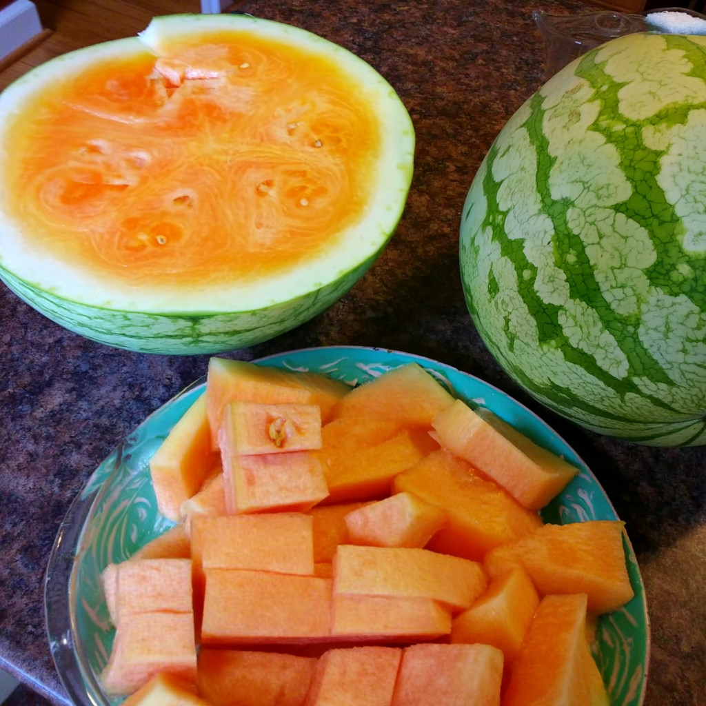 Organic Orange Tendersweet Watermelon Seeds – 15 Citrullus lanatus