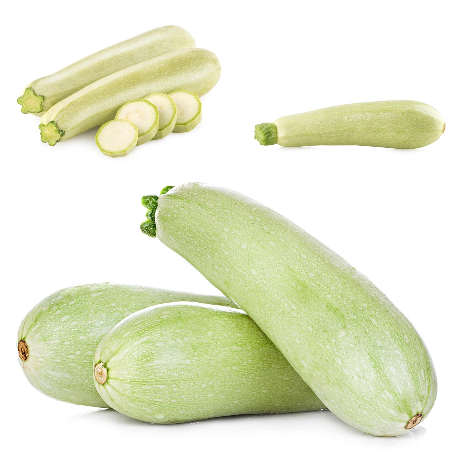 Gray Zucchini – Seeds – Organic – Non Gmo – Heirloom Seeds – Vegetable Seeds