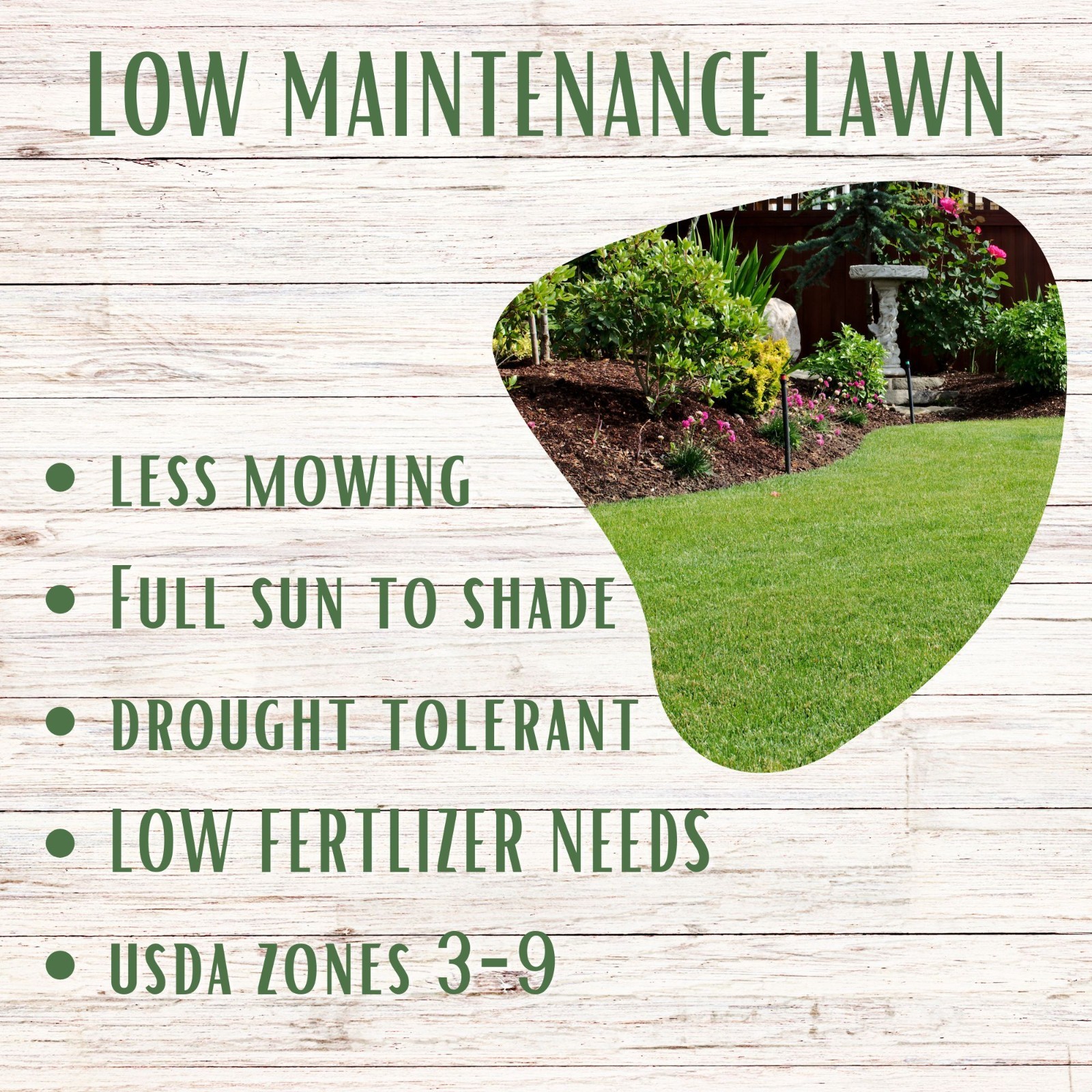 RUFF and TUFF! Fescue Grass Seed, Pet Friendly, Low Maintenance, Shade Tolerant