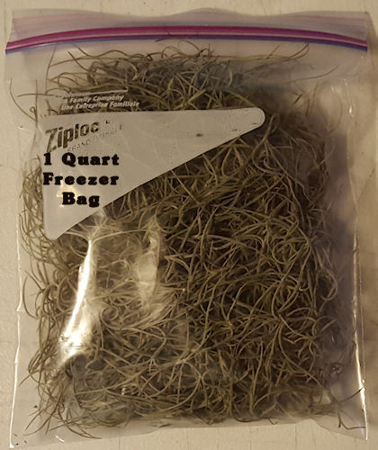 Spanish Moss Live Florida Oak Tree Fresh decorative floral craft Air Plant dried