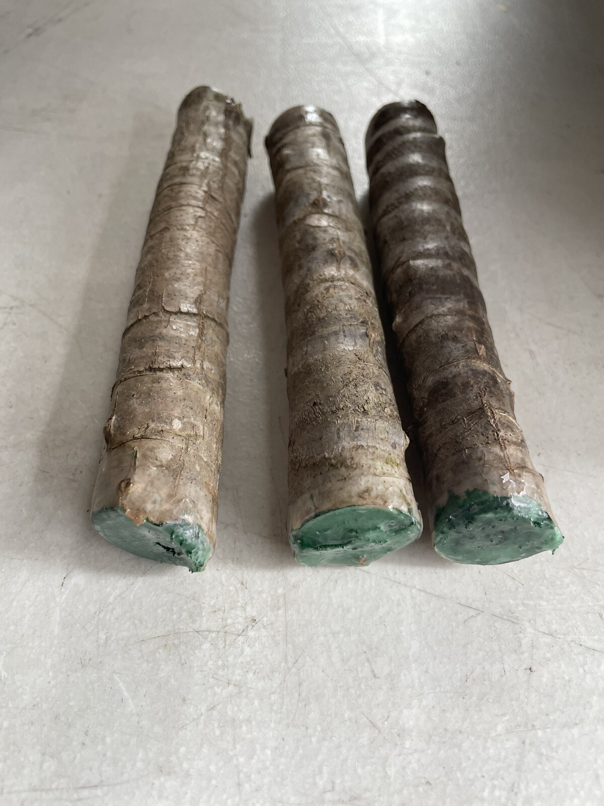 Hawaiian Green Ti Leaf Fresh Cuttings 6″ Starter 3 Logs