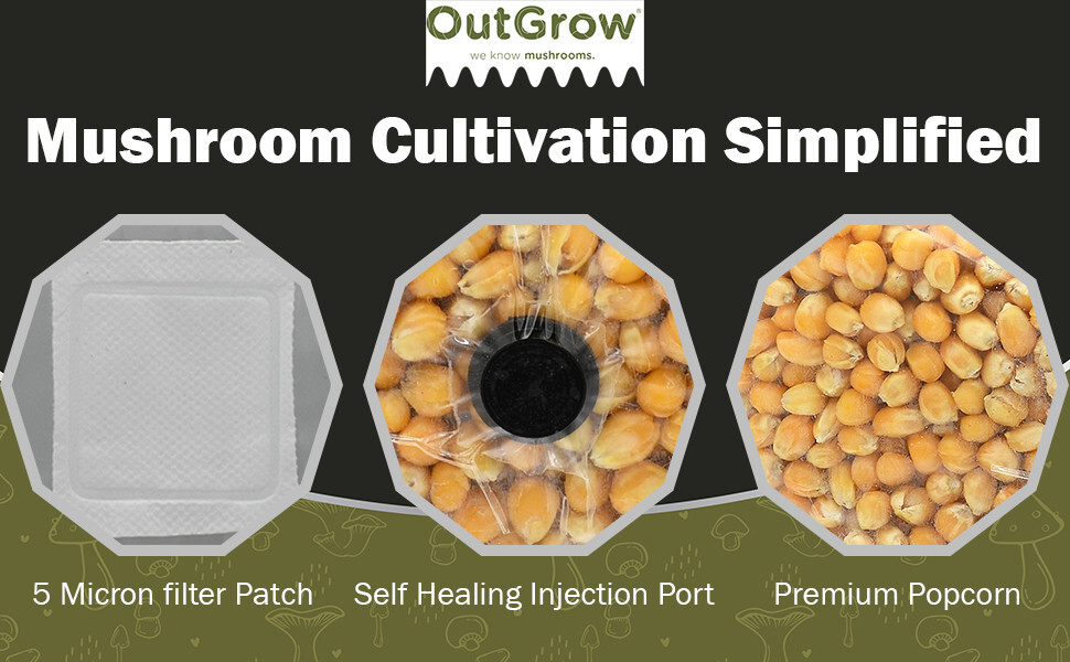 Sterilized Popcorn Mushroom Substrate