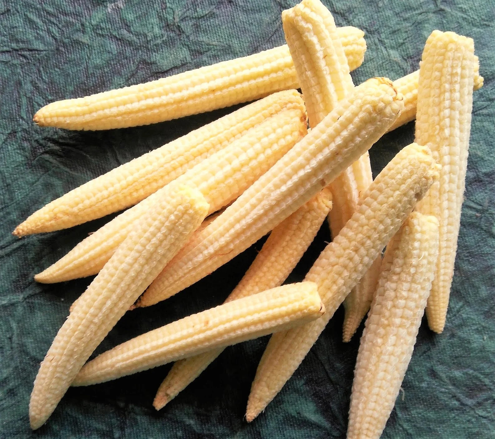 Baby Corn Seeds | Completely Edible White Asian Japanese Hulless Corn Seeds 2024