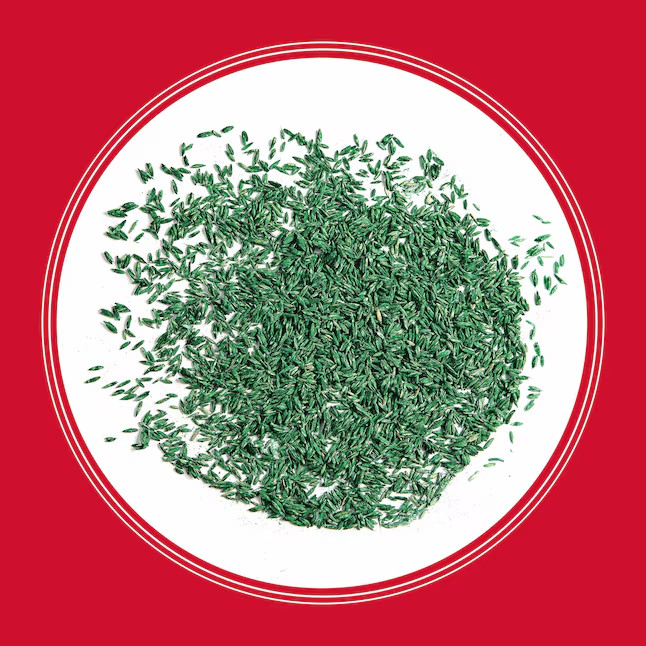 Pennington Rebels Tall Fescue Lawn Grass Seed 40 lbs Heavy Traffic