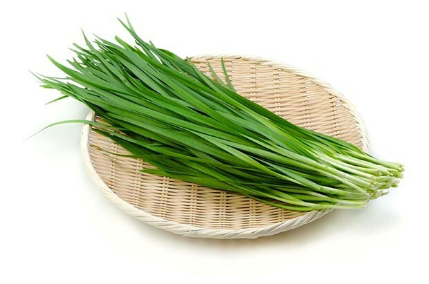 200+ Garlic Chives Seeds Heirloom NON-GMO Always Fresh Seeds for Your Garden