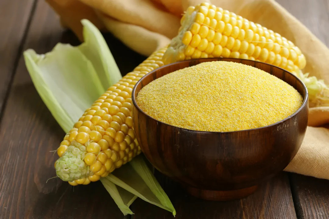 Reid’s Yellow Dent Corn Seeds – For 2025 Planting Open-Pollinated Yellow Flint