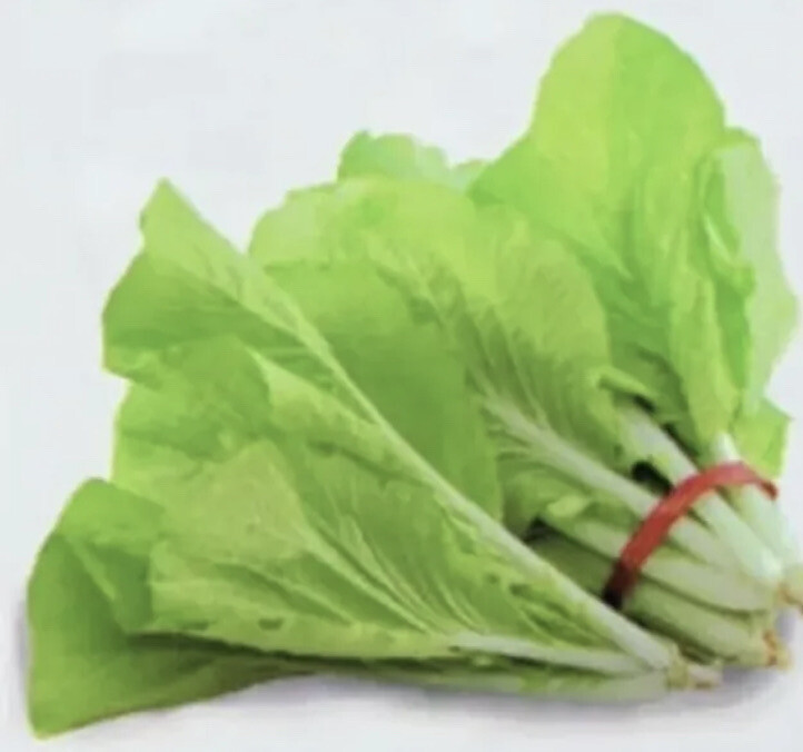 300+ Taiwan Pak Choy Seeds. 台灣小白菜。Just harvest Summer 2022
