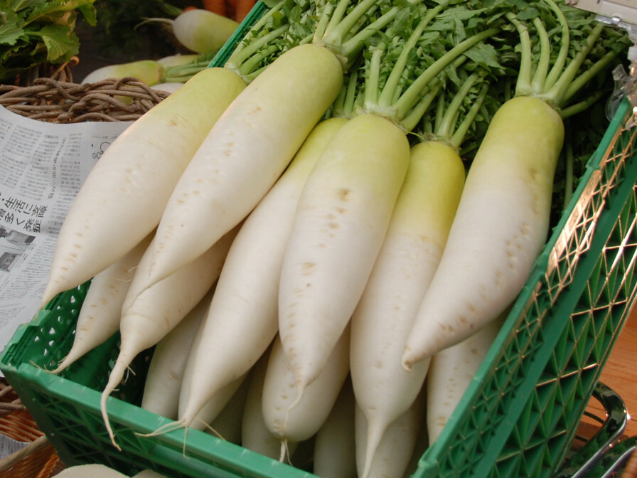 300+ Daikon Radish Seeds Heirloom NON GMO USA-SELLER!