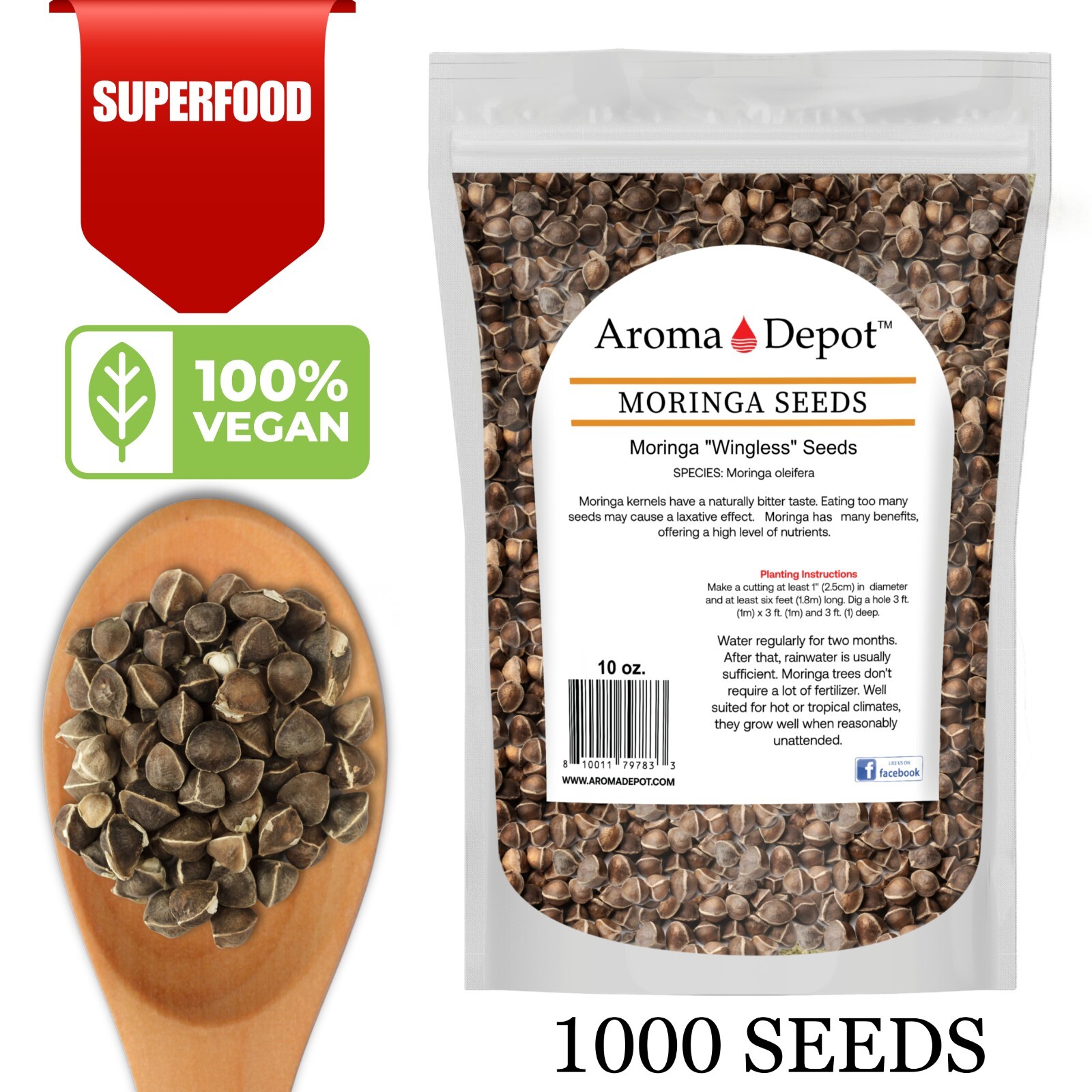 Moringa Seeds 10 oz. Wingless 1000 Semilla de Moringa Oleifera Pepas Malunggay