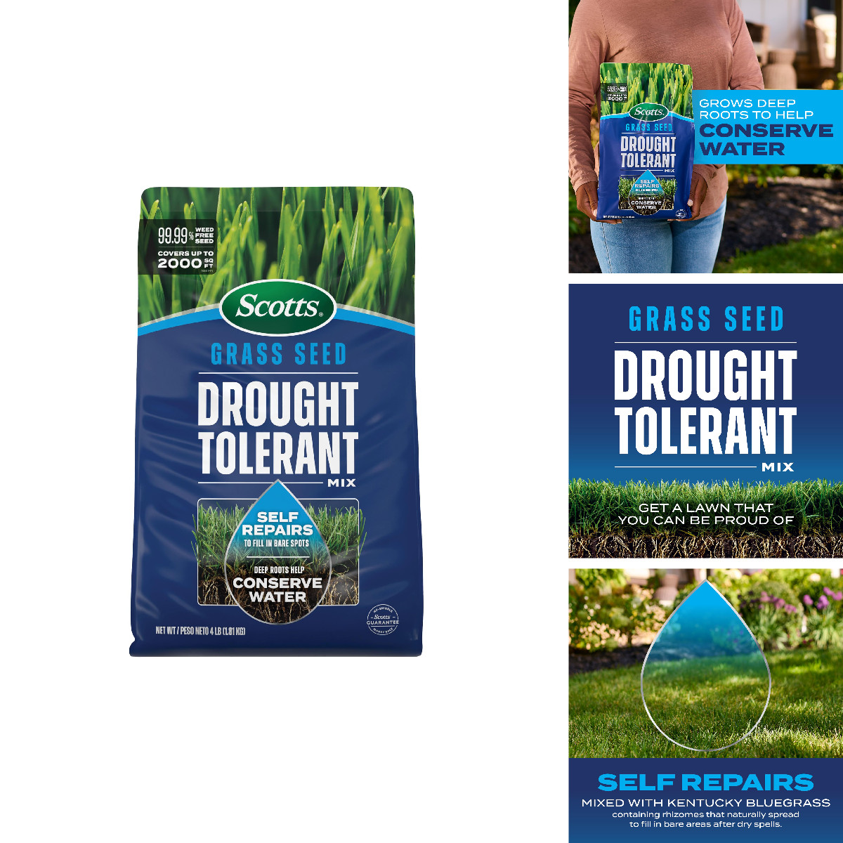 Scotts Grass Seed Drought Tolerant Mix Kentucky Bluegrass And Tall Fescue Grass