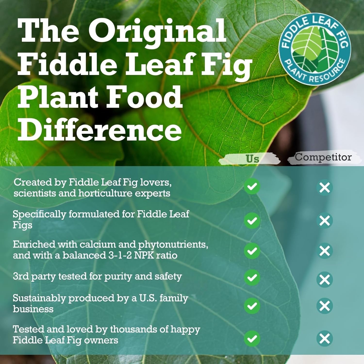 3-1-2 NPK Liquid Fertilizer for Stunning Fiddle Leaf Fig Growth, 8 oz Bottle