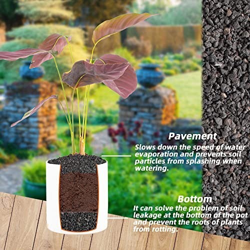 3lb Black Lava Rock – Horticultural Volcanic Soil for Landscaping, Bonsai, Cacti