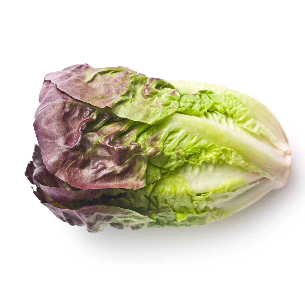 1000 RED ROMAINE LETTUCE SEEDS ~ heirloomseedguy ~ 2026 ~ NON-GMO