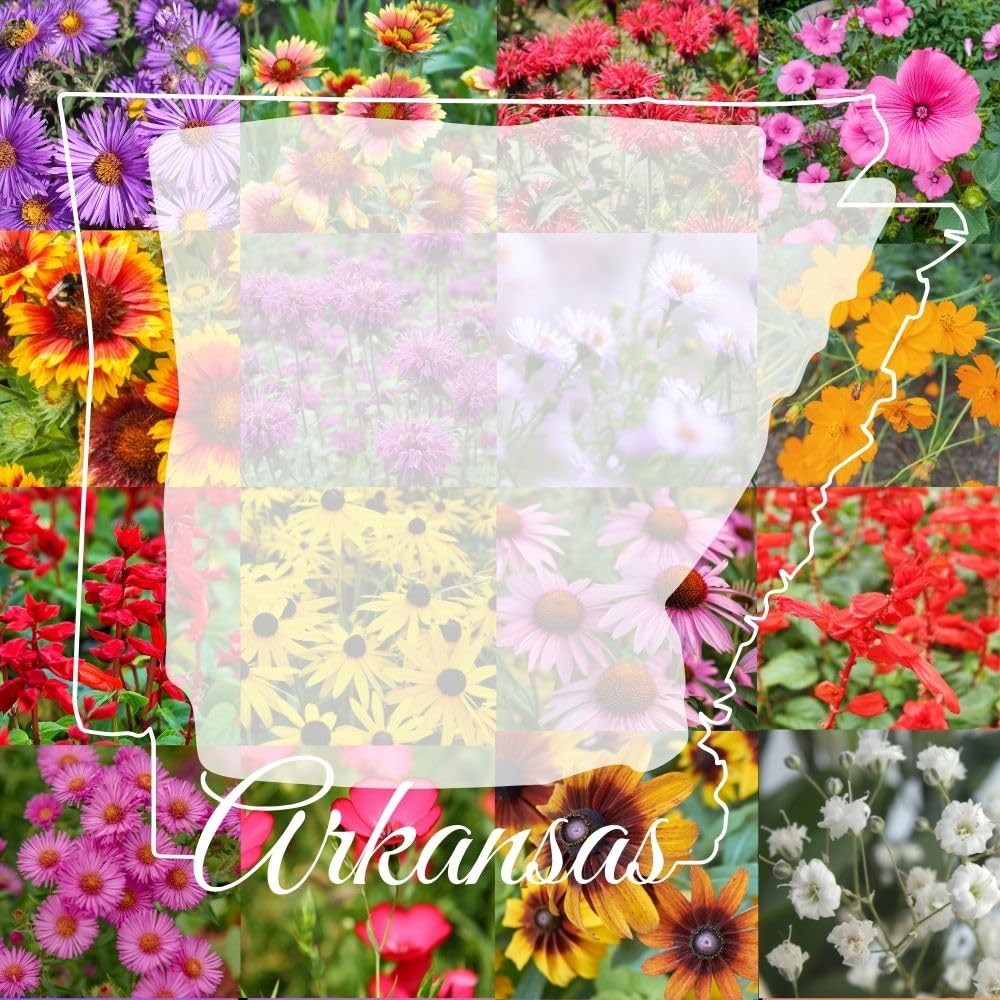 Arkansas Bulk Perennial and Annual Non-GMO Wildflower Seed Mix 1/4lb Covers 5…