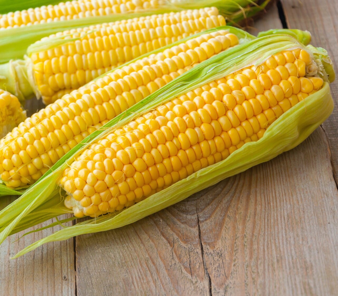 🌽 Premium Kandy Korn Seeds 🍬Sweetest corn in the world!🌽No isolation! SE