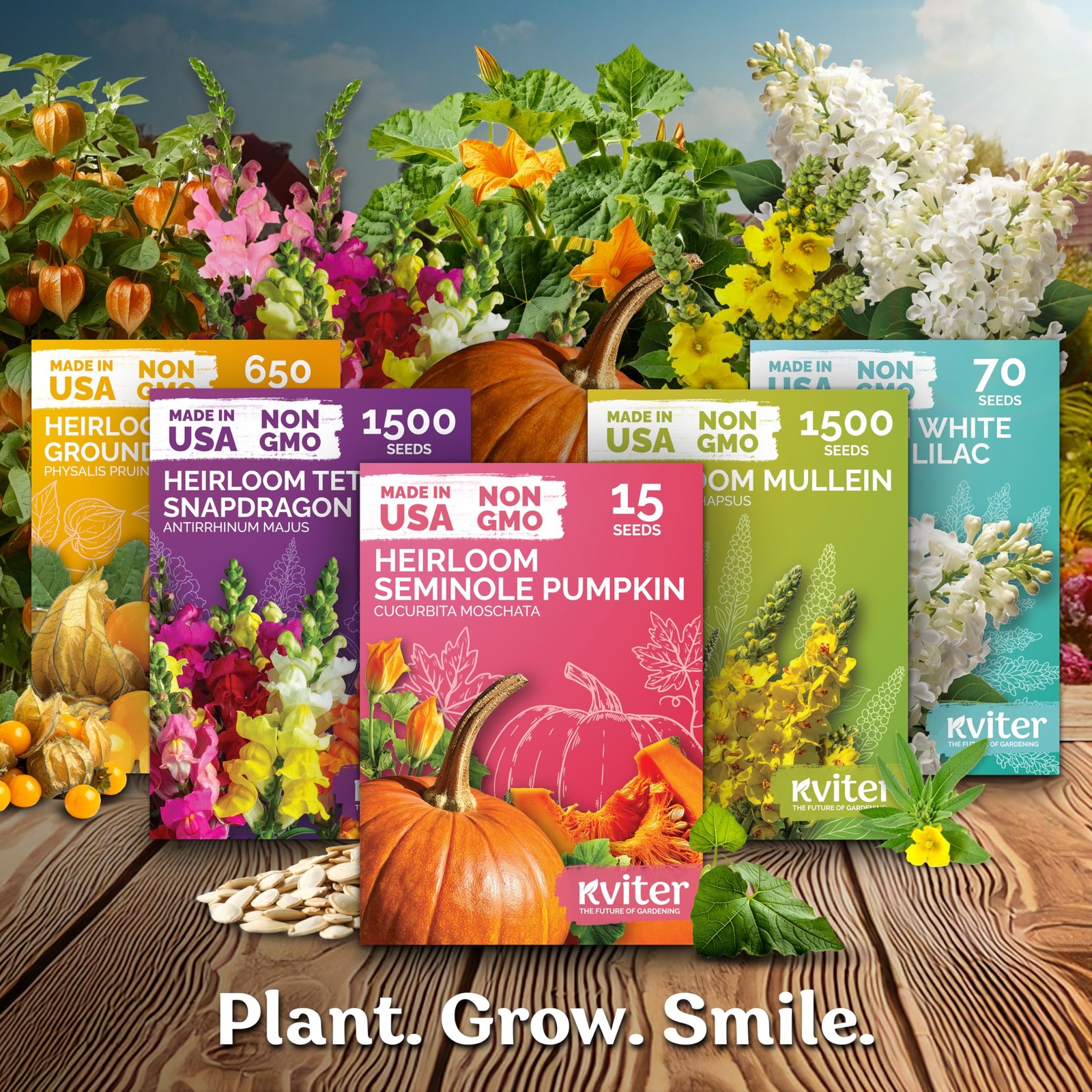 KVITER 25 Big Max Pumpkin Seeds for Planting (Cucurbita pepo)