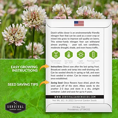 Pack Dutch White Clover Seeds for Planting – with Instructions to Grow White 1