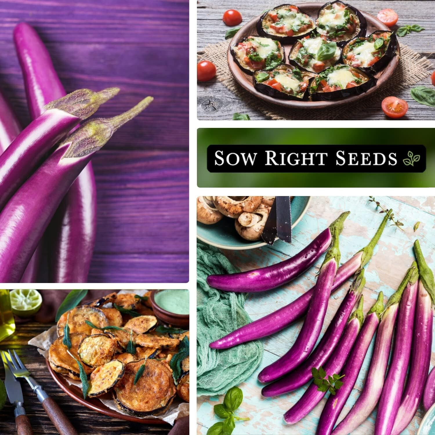 Long Purple Eggplant Seeds Non-GMO Heirloom 400mg Outdoor Vegetable Garden