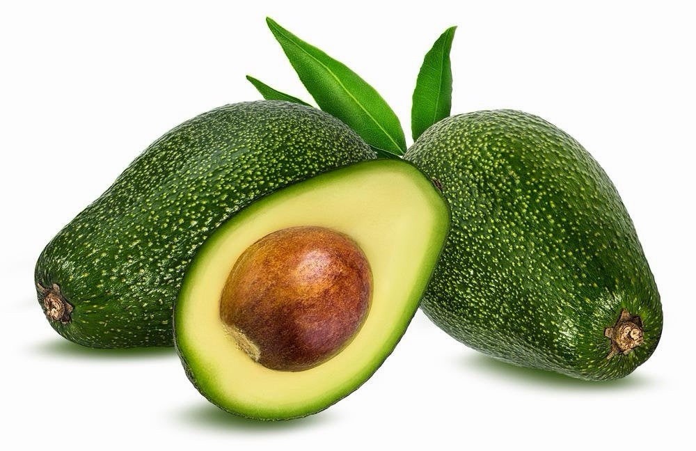 Pinkerton Avocado Tree Seedling Broadleaf Green Live Plant in Pot